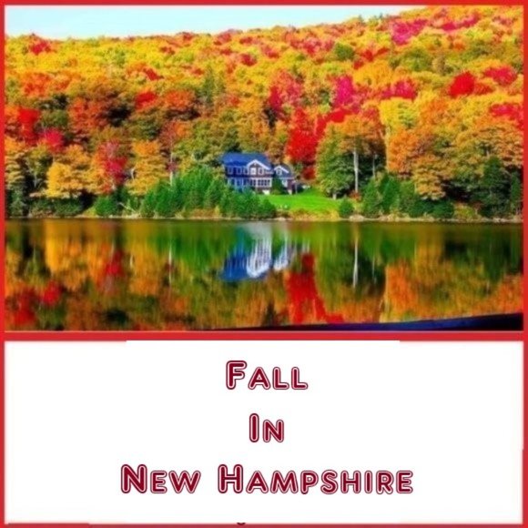 ☆ Woohoo ! Made It To 500,000 ☆ - Picture 6 of 11